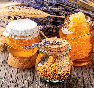 Kouzlo domova 2027, nástěnný kalendář, prodloužená záda