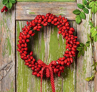 Kouzlo domova 2027, nástěnný kalendář, prodloužená záda