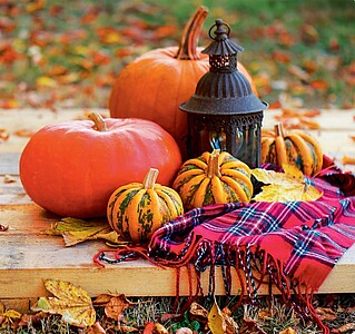 Kouzlo domova 2027, nástěnný kalendář, prodloužená záda