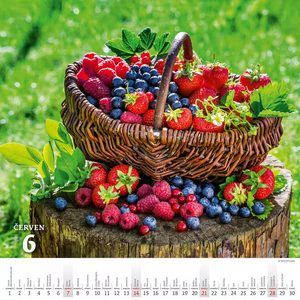 Krásy venkova nástěnný kalendář 2027