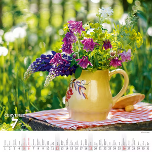 Krásy venkova nástěnný kalendář 2027