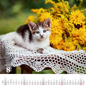 Krásy venkova nástěnný kalendář 2027