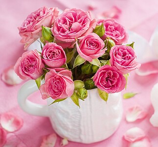 Kytice 2027, nástěnný kalendář, prodloužená záda