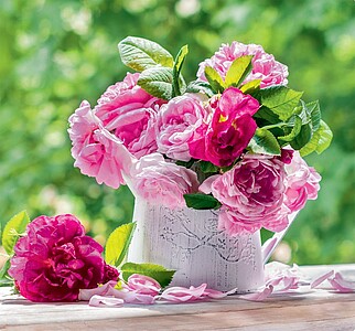 Kytice 2027, nástěnný kalendář, prodloužená záda