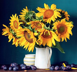 Kytice 2027, nástěnný kalendář, prodloužená záda