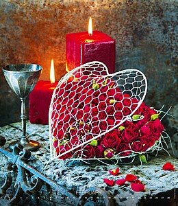 Live Design 2027, nástěnný kalendář, prodloužená záda