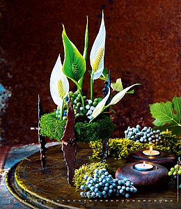 Live Design 2027, nástěnný kalendář, prodloužená záda