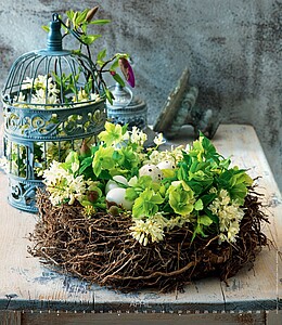 Live Design 2027, nástěnný kalendář, prodloužená záda