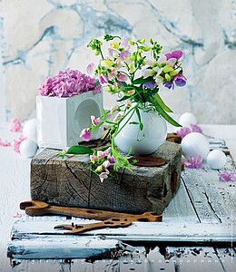 Live Design 2027, nástěnný kalendář, prodloužená záda