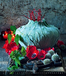 Live Design 2027, nástěnný kalendář, prodloužená záda