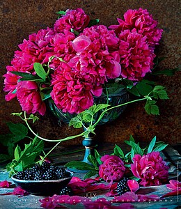 Live Design 2027, nástěnný kalendář, prodloužená záda