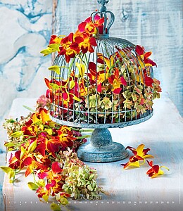 Live Design 2027, nástěnný kalendář, prodloužená záda