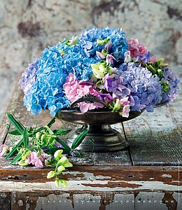 Live Design 2027, nástěnný kalendář, prodloužená záda