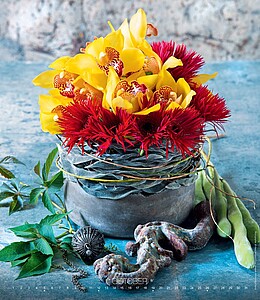 Live Design 2027, nástěnný kalendář, prodloužená záda