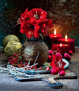 Live Design 2027, nástěnný kalendář, prodloužená záda