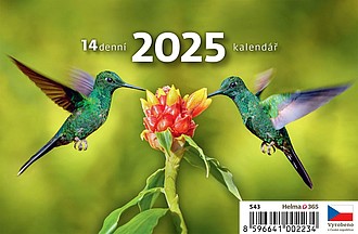 MINI 14denní kalendář 2025, stolní kalendář