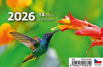 MINI 14denní kalendář 2026, stolní kalendář