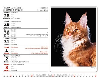 Minimax Kočičky 2027, stolní kalendář