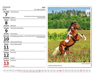 Minimax Koně 2027, stolní kalendář