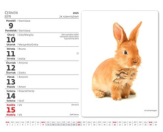 Minimax Mazlíčci 2025, stolní kalendář