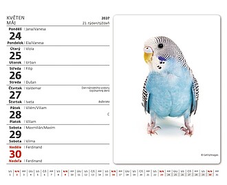 Minimax Mazlíčci 2027, stolní kalendář