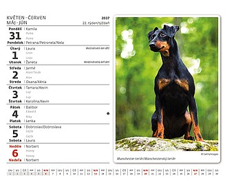 Minimax Pejskové 2027, stolní kalendář