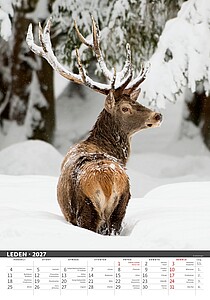 Myslivecký klendář 2027, nástěnný kalendář, prodloužená záda