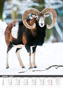 Myslivecký klendář 2027, nástěnný kalendář, prodloužená záda