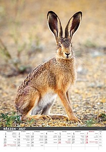 Myslivecký klendář 2027, nástěnný kalendář, prodloužená záda