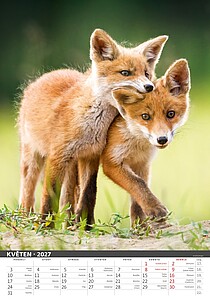 Myslivecký klendář 2027, nástěnný kalendář, prodloužená záda