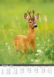 Myslivecký klendář 2027, nástěnný kalendář, prodloužená záda