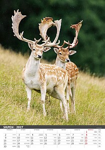 Myslivecký klendář 2027, nástěnný kalendář, prodloužená záda
