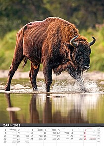 Myslivecký klendář 2027, nástěnný kalendář, prodloužená záda