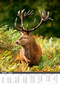 Myslivecký klendář 2027, nástěnný kalendář, prodloužená záda