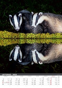 Myslivecký klendář 2027, nástěnný kalendář, prodloužená záda