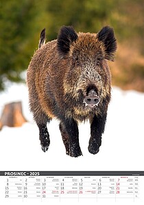 Myslivecký klendář 2027, nástěnný kalendář, prodloužená záda