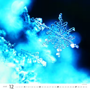 Nástěnný kalendář Aqua 2027