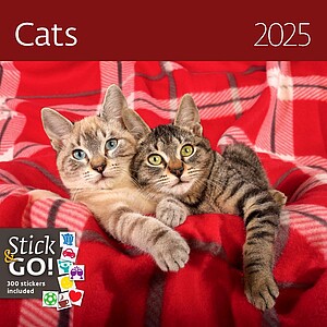 Nástěnný kalendář Cats 2027 včetně laše