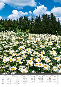 Nástěnný kalendář Česká příroda 2027