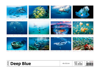 Nástěnný kalendář Deep Blue 2026