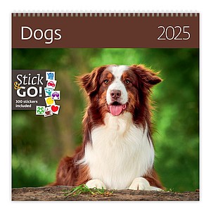 Nástěnný kalendář Dogs 2025 včetně laše - reklamní kalendáře