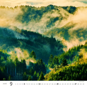 Nástěnný kalendář Forest/Wald/Les 2026