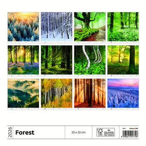 Nástěnný kalendář Forest/Wald/Les 2026