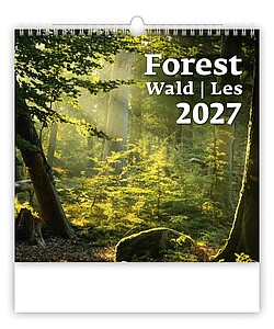 Nástěnný kalendář Forest/Wald/Les 2027