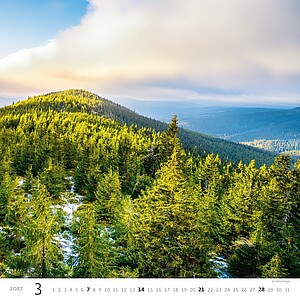 Nástěnný kalendář Forest/Wald/Les 2027
