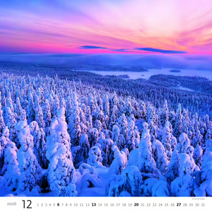 Nástěnný kalendář Forest/Wald/Les 2027