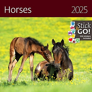 Nástěnný kalendář Horses 2026 včetně laše