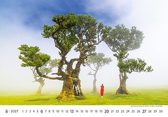 Nástěnný kalendář New Horizons 2027