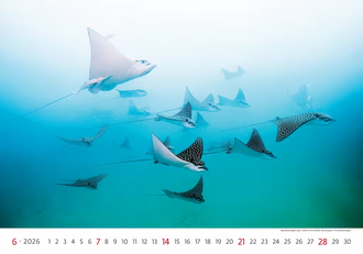 Nástěnný kalendář Wordl Wonders 2027