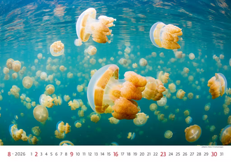 Nástěnný kalendář Wordl Wonders 2027